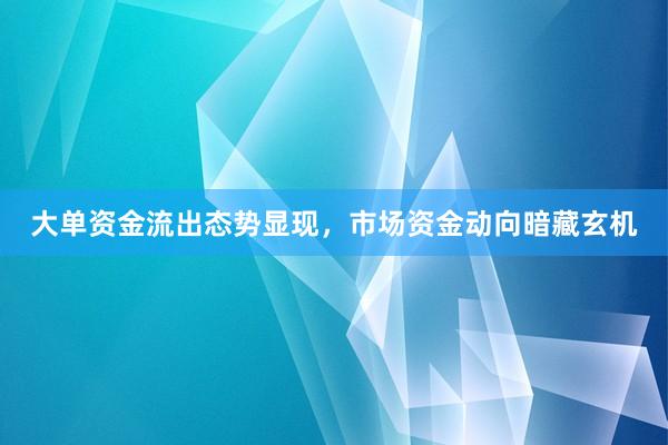 大单资金流出态势显现，市场资金动向暗藏玄机