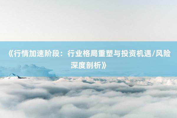 《行情加速阶段：行业格局重塑与投资机遇/风险深度剖析》