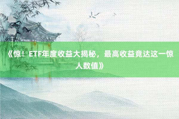 《惊！ETF年度收益大揭秘，最高收益竟达这一惊人数值》