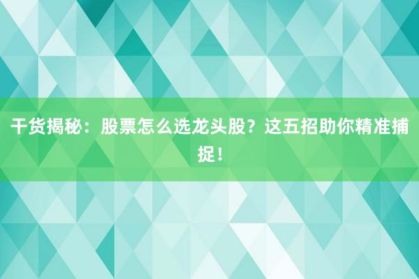 干货揭秘：股票怎么选龙头股？这五招助你精准捕捉！